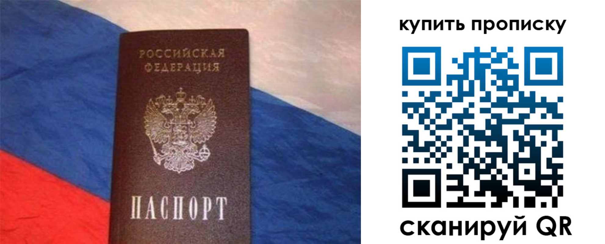 прописка штамп в Тереке